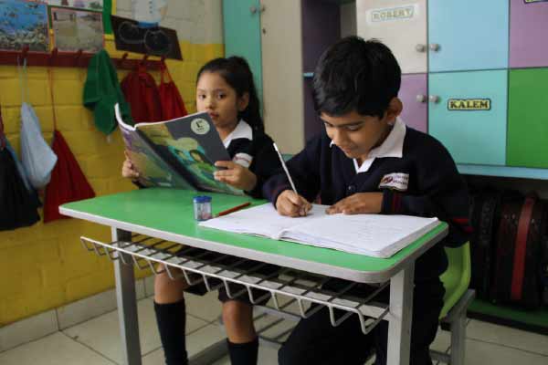 Educación primaria